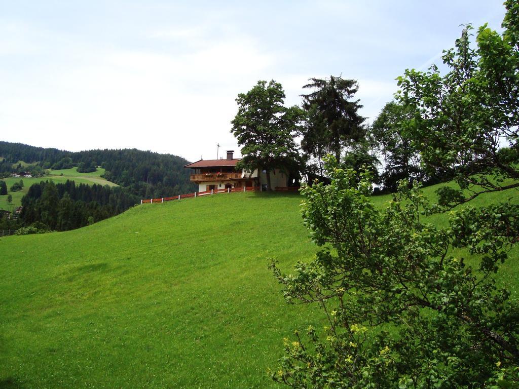 Schoner Erika Villa Oberau Rum bild